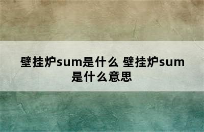 壁挂炉sum是什么 壁挂炉sum是什么意思